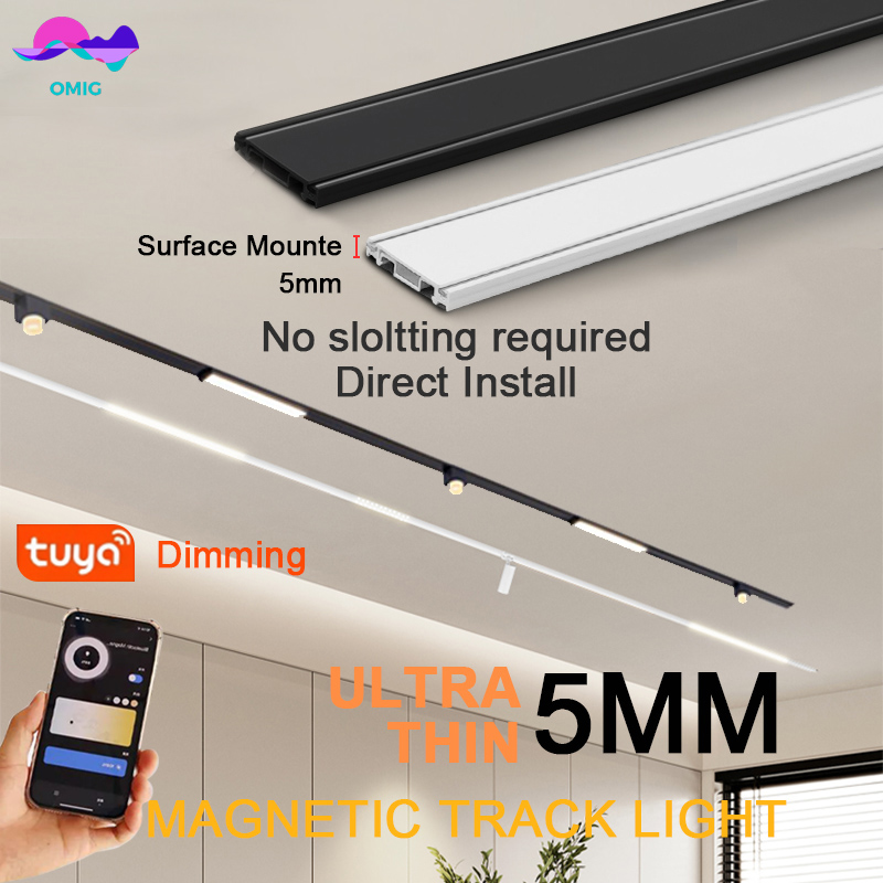 スマートマグネットトラックレールライト ホームTuya調光集 - Outdoor Lighting Track のレビューと価格