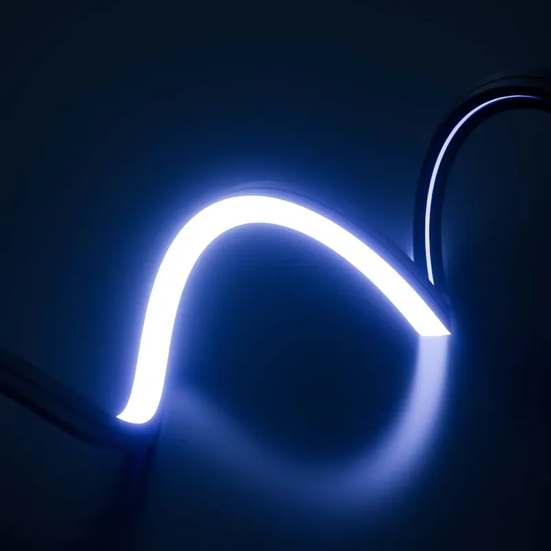 完璧な夢のような色のLEDネオンストリップライトIP65 1 - Outdoor Lighting Ip65 のレビューと価格